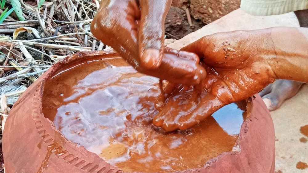 Elements - Science and Yoga